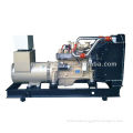 Competitive price 220KW natural gas generator